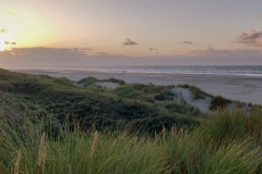 IMG_3396